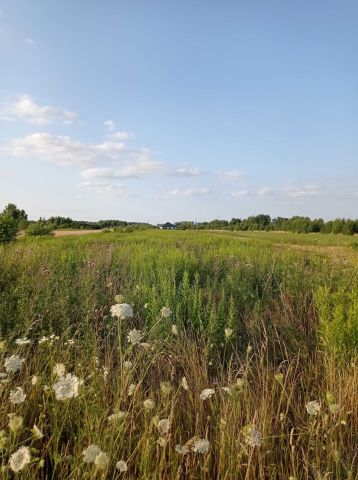 Działka budowlana Czosnów. Zdjęcie 1