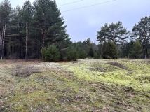 Działka budowlana Sojczynek. Zdjęcie 2