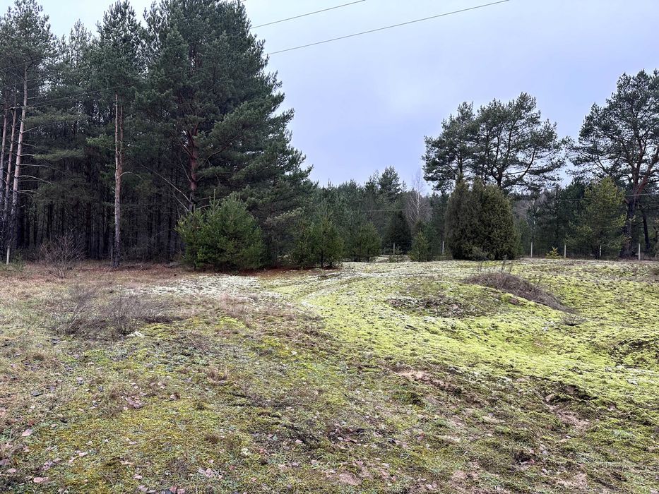 Działka budowlana Sojczynek. Zdjęcie 3