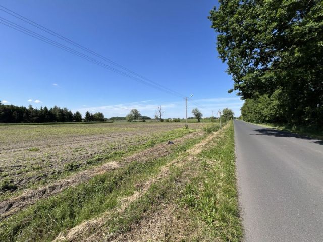 Działka budowlana Lubiejew. Zdjęcie 5