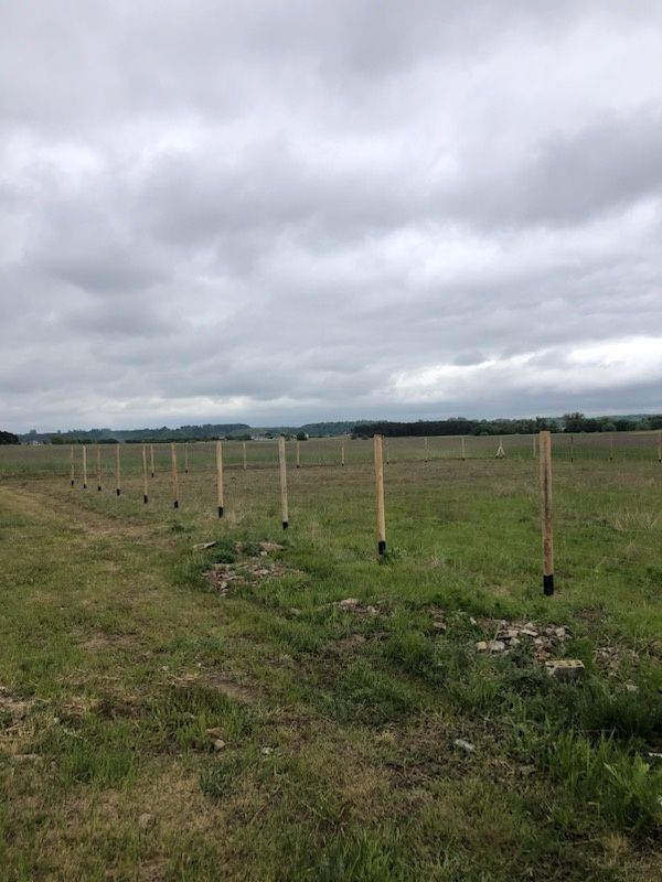 Działka budowlana Borówno. Zdjęcie 3