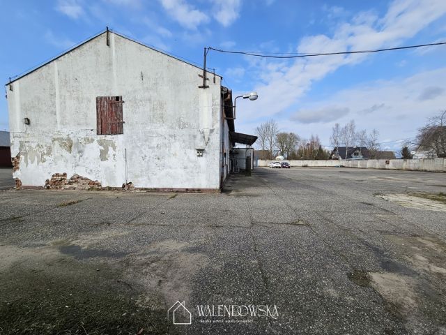 Hala/magazyn Staniewice. Zdjęcie 15