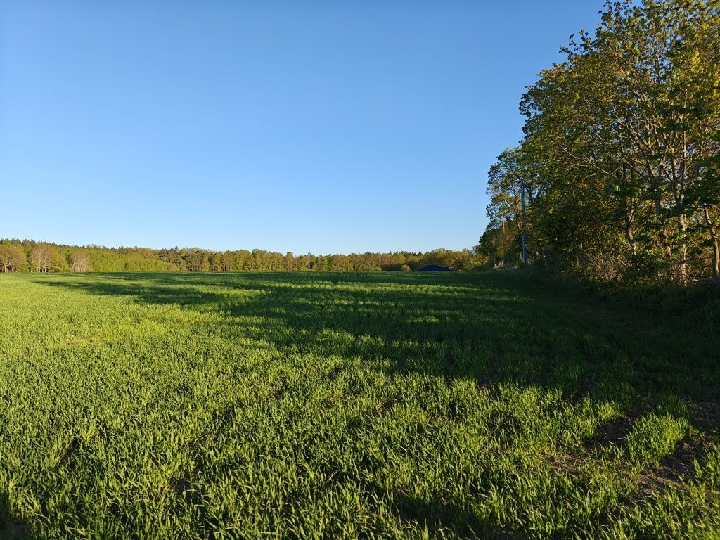 Działka siedliskowa Szczenurze. Zdjęcie 5