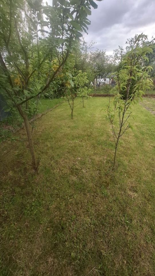Działka rod Świdnica. Zdjęcie 5
