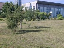 Działka budowlana Białołęka. Zdjęcie 3