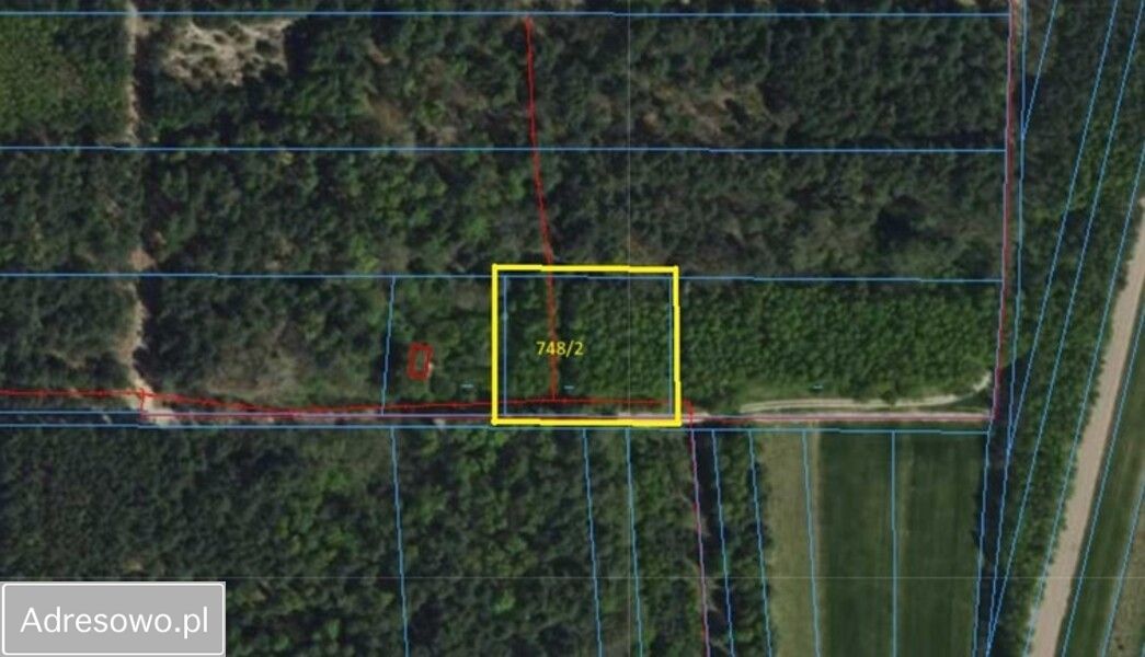 Działka leśna Zborów. Zdjęcie 7