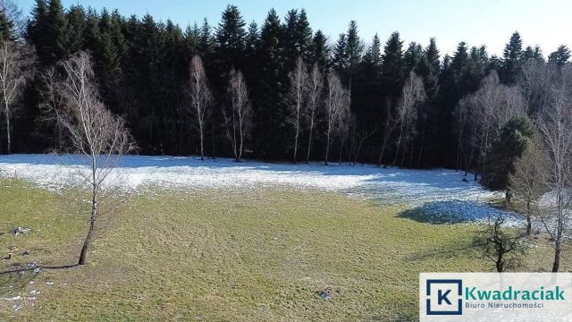 Działka inwestycyjna Odrzykoń, ul. Leśna. Zdjęcie 7
