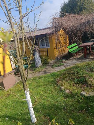 Działka rod Jastrzębie-Zdrój Zofiówka, ul. Wojciecha Korfantego. Zdjęcie 1