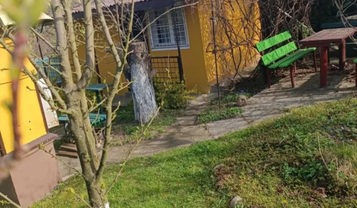 Działka rod Jastrzębie-Zdrój Zofiówka, ul. Wojciecha Korfantego