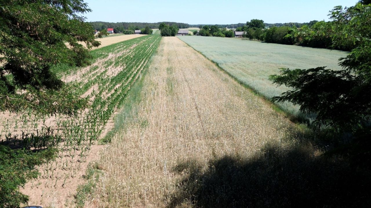 Działka rolno-budowlana Retniowiec. Zdjęcie 7