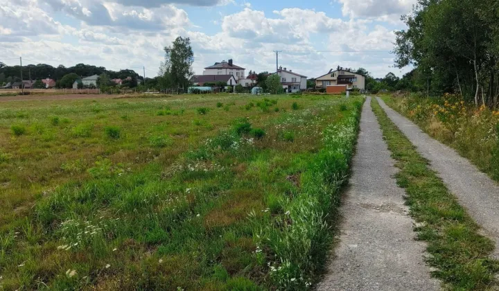 Działka budowlana Żyraków