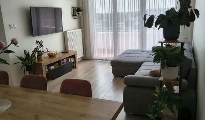 Mieszkanie 2-pokojowe Poznań Wilda