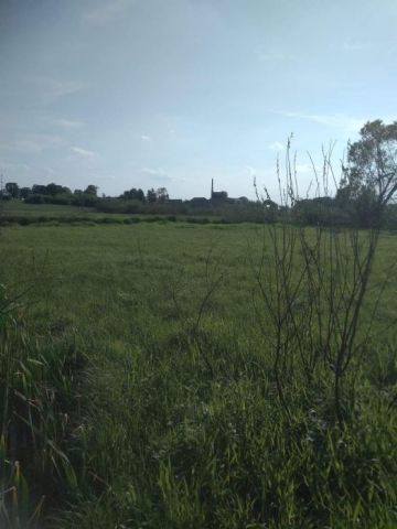 Działka rolna Suchowola. Zdjęcie 1