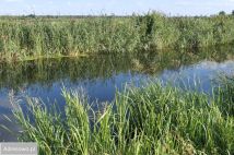 Działka rekreacyjna Sosnowo. Zdjęcie 2