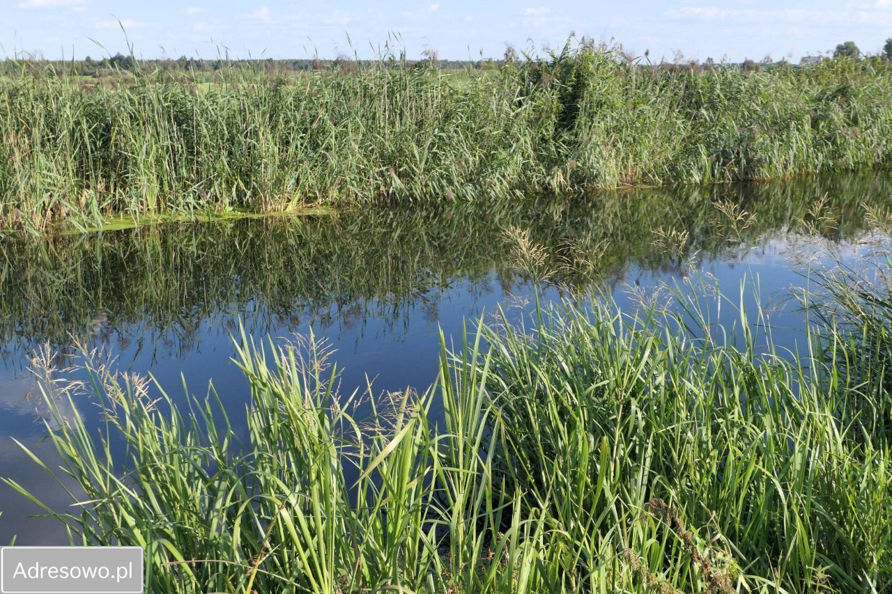 Działka rekreacyjna Sosnowo. Zdjęcie 3