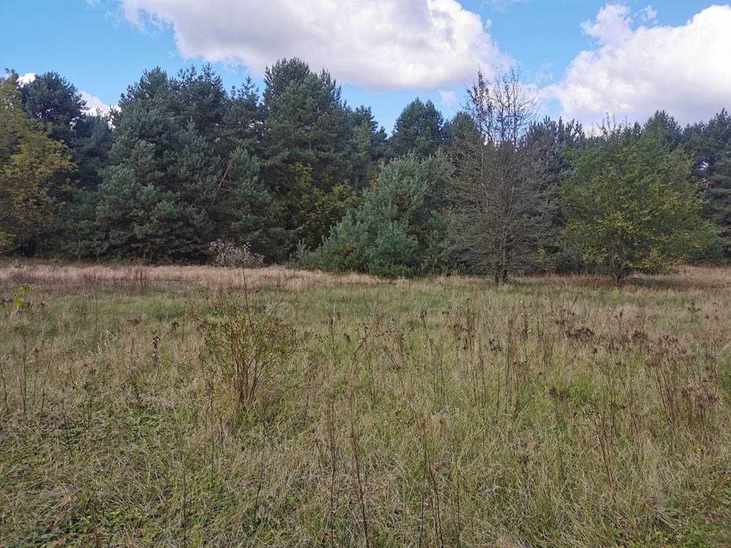 Działka rolna Włoszczowa, ul. Młynarska. Zdjęcie 5