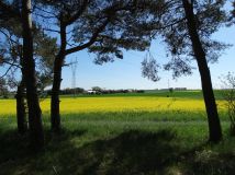 Działka rolna Parsów. Zdjęcie 3