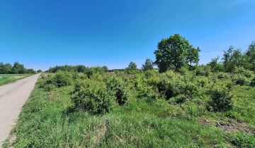 Działka rolno-budowlana Kroczewo