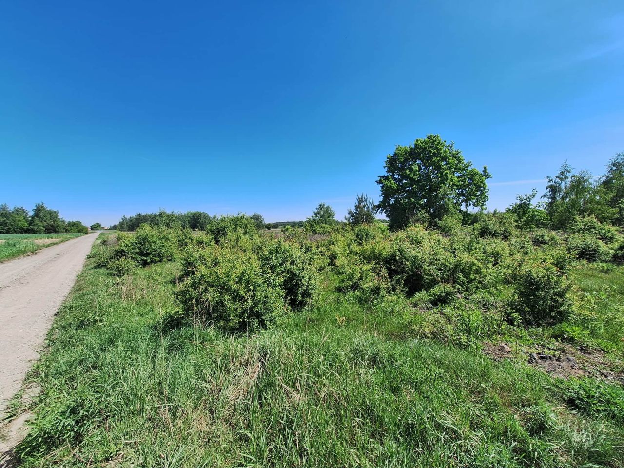 Działka rolno-budowlana Kroczewo. Zdjęcie 2