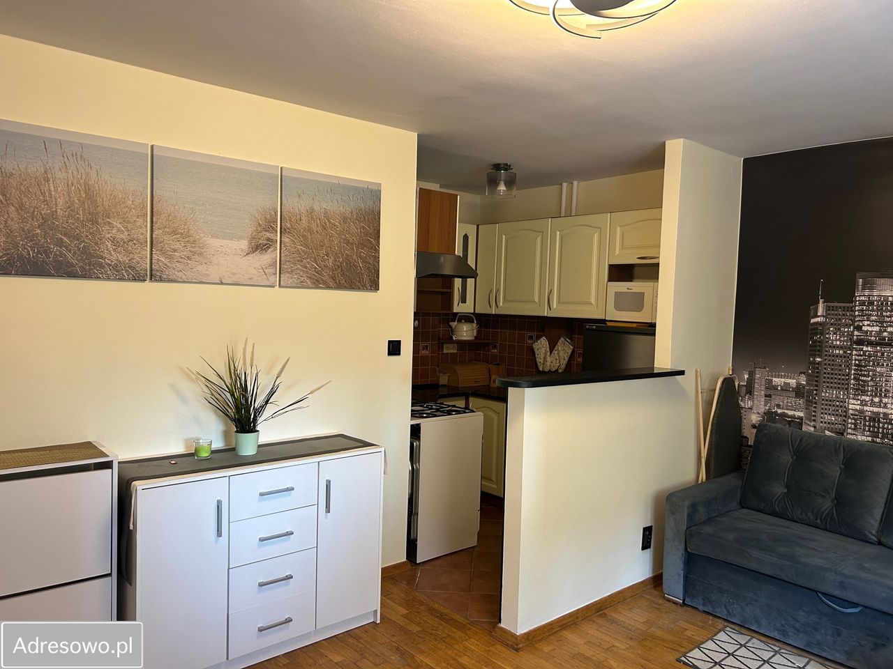 Mieszkanie 1-pokojowe Warszawa Skorosze, ul. Kolorowa. Zdjęcie 9