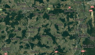 Działka leśna Wólka Kościeniewicka