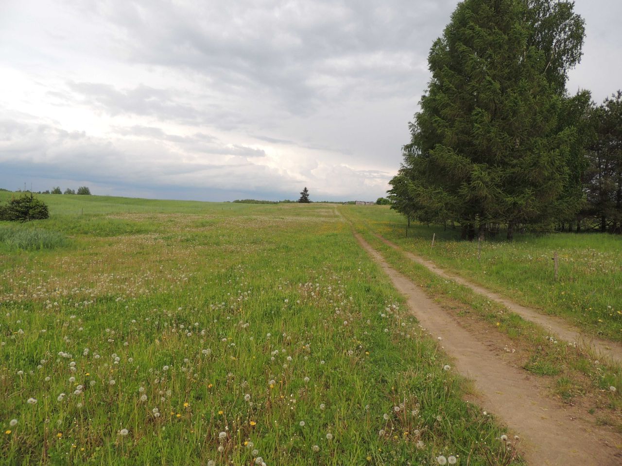 Działka siedliskowa Głuszyn