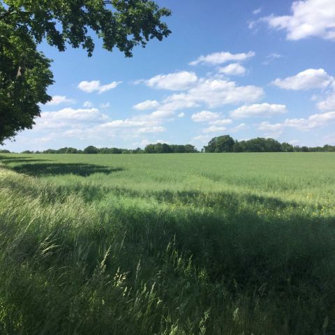 Działka inwestycyjna Dobrzejowice. Zdjęcie 1