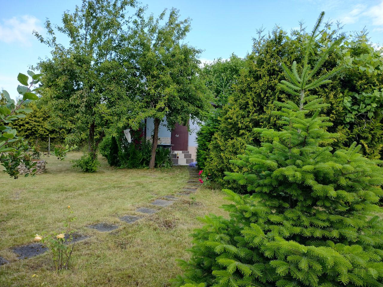 Działka rod Mielno, ul. Ogrodowa. Zdjęcie 8