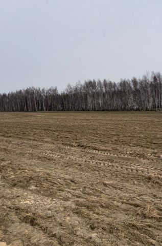 Działka budowlana Przanowice. Zdjęcie 1