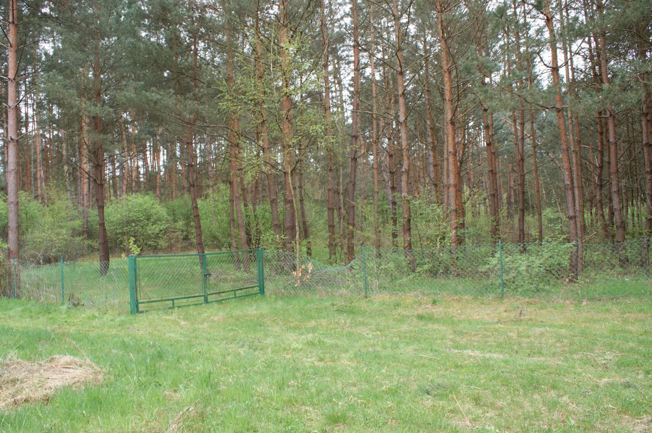 Działka rekreacyjna Czerwona Wola Myszkówka. Zdjęcie 35