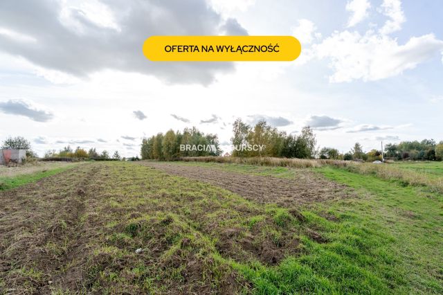 Działka budowlana Cholerzyn. Zdjęcie 1