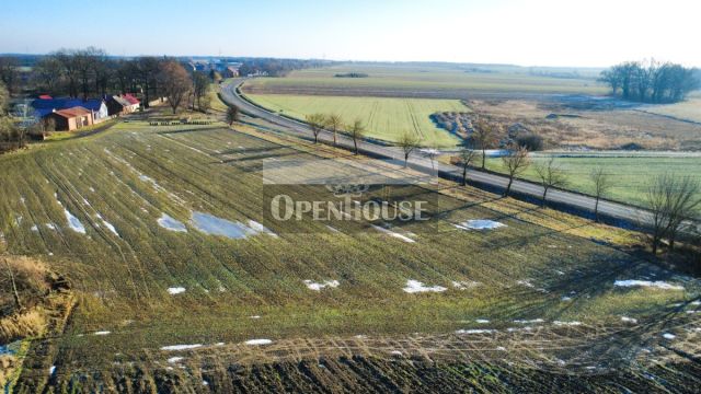 Działka budowlana Dryżyna. Zdjęcie 4