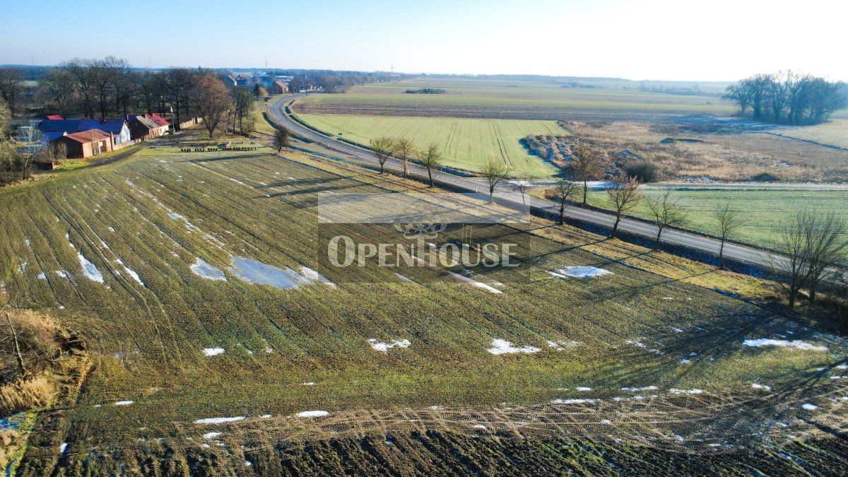 Działka budowlana Dryżyna. Zdjęcie 4