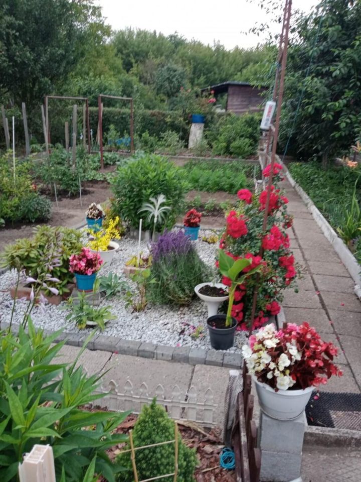 Działka rod Radom. Zdjęcie 7