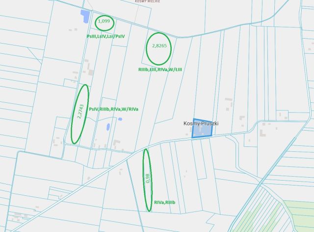 Działka rolna Kosmy-Pruszki. Zdjęcie 1