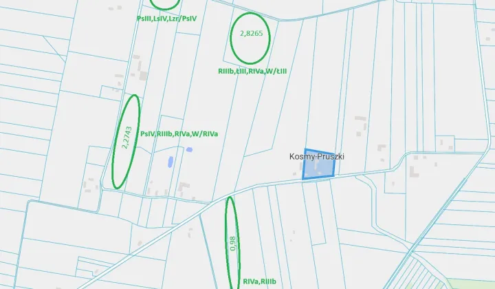 Działka rolna Kosmy-Pruszki