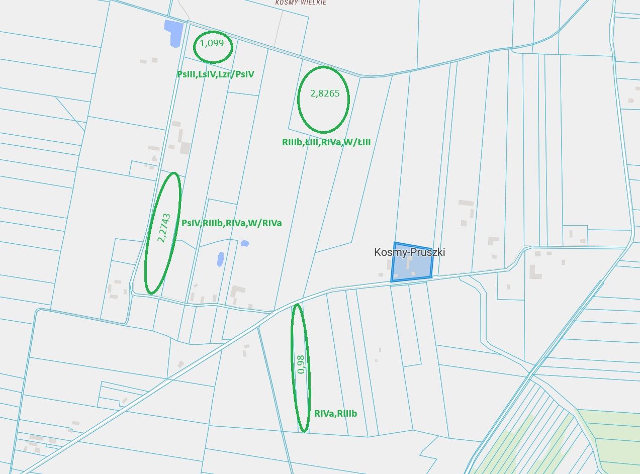 Działka rolna Kosmy-Pruszki. Zdjęcie 1