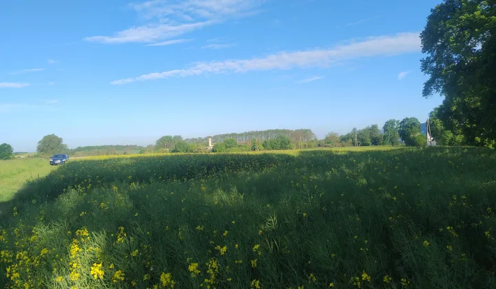 Działka rolna Gniewomierz Psary
