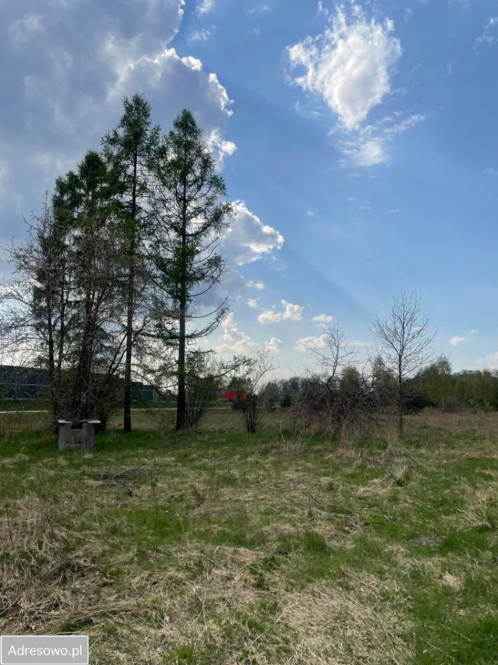 Działka budowlana Benenard, ul. Bukowa. Zdjęcie 2