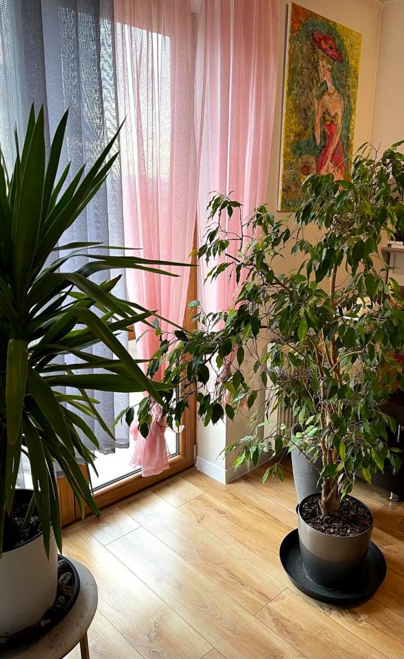 bliźniak, 5 pokoi Nowy Sącz Zabełcze. Zdjęcie 16