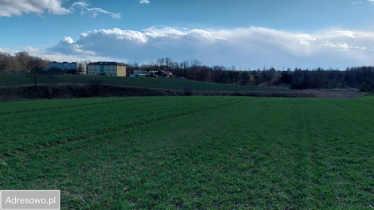 Działka inwestycyjna Mały Klincz. Zdjęcie 2