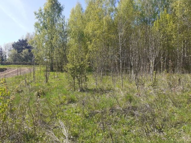 Działka rolna Biesowo. Zdjęcie 1