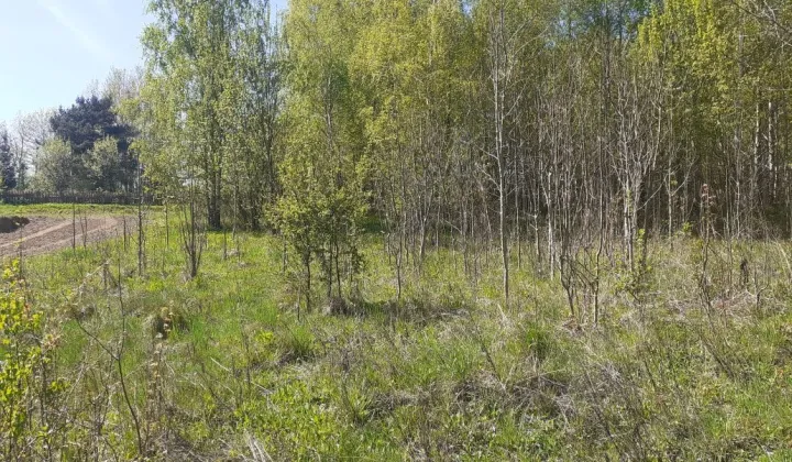 Działka rolna Biesowo