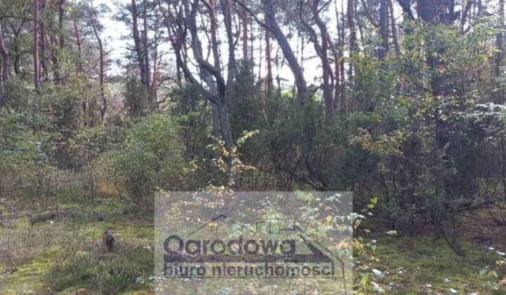 Działka rekreacyjna Popowo-Letnisko