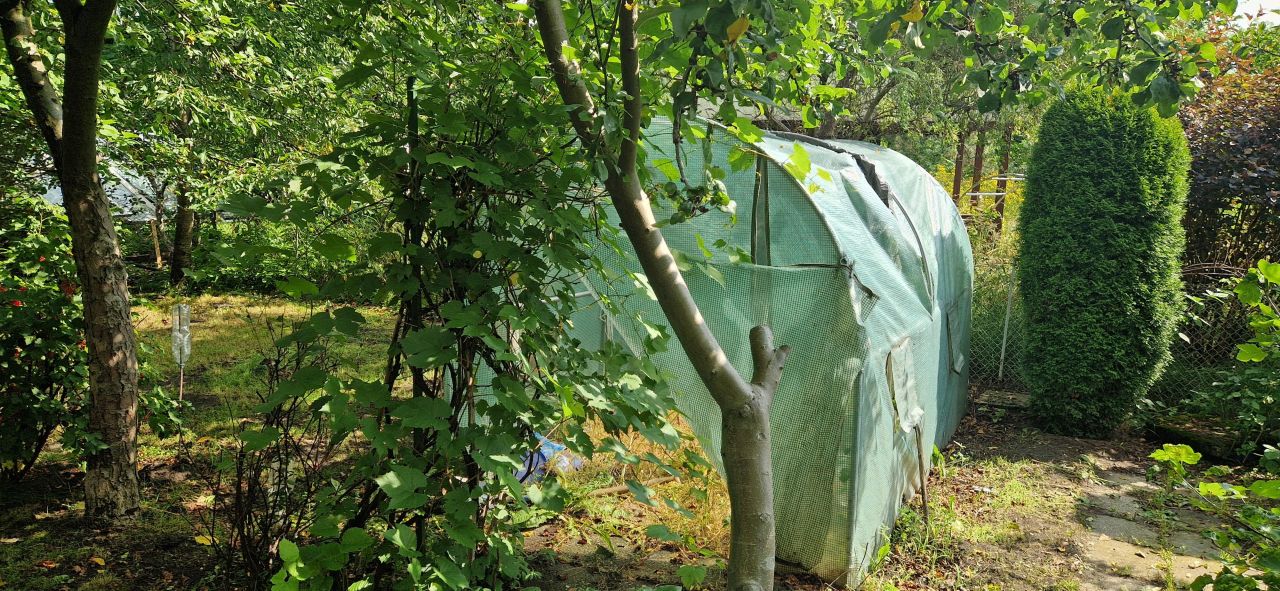 Działka rod Zawiercie Marciszów, ul. Rekreacyjna. Zdjęcie 12