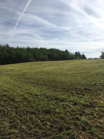 Działka rolno-budowlana Strączno. Zdjęcie 6