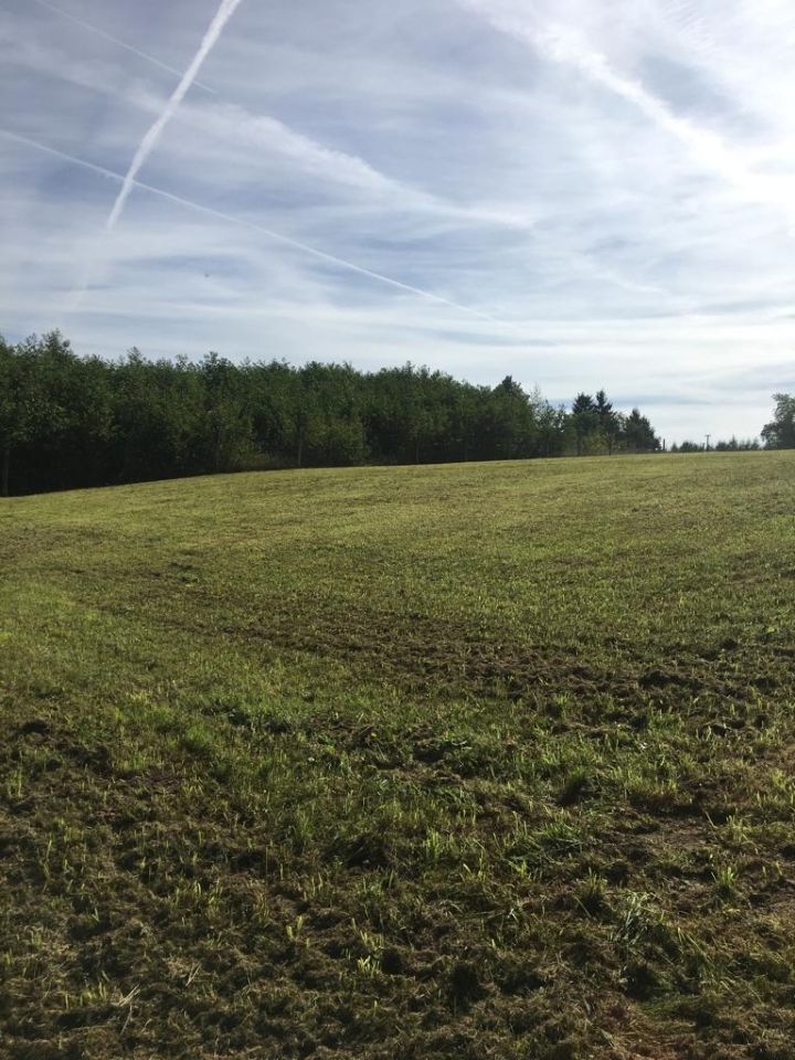 Działka rolno-budowlana Strączno. Zdjęcie 6