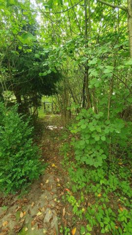 Działka rod Słupsk. Zdjęcie 1