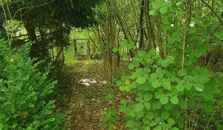 Działka rod Słupsk