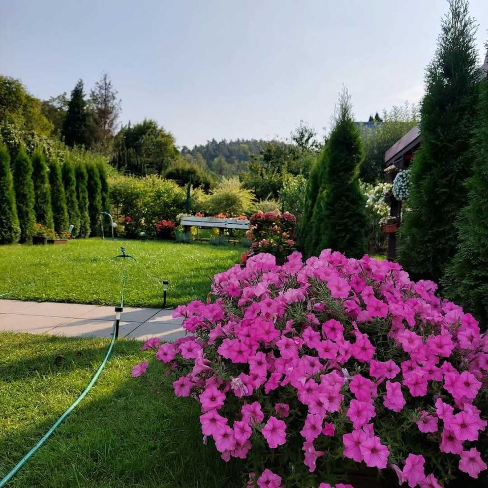 Działka rod Gdańsk Oliwa. Zdjęcie 7